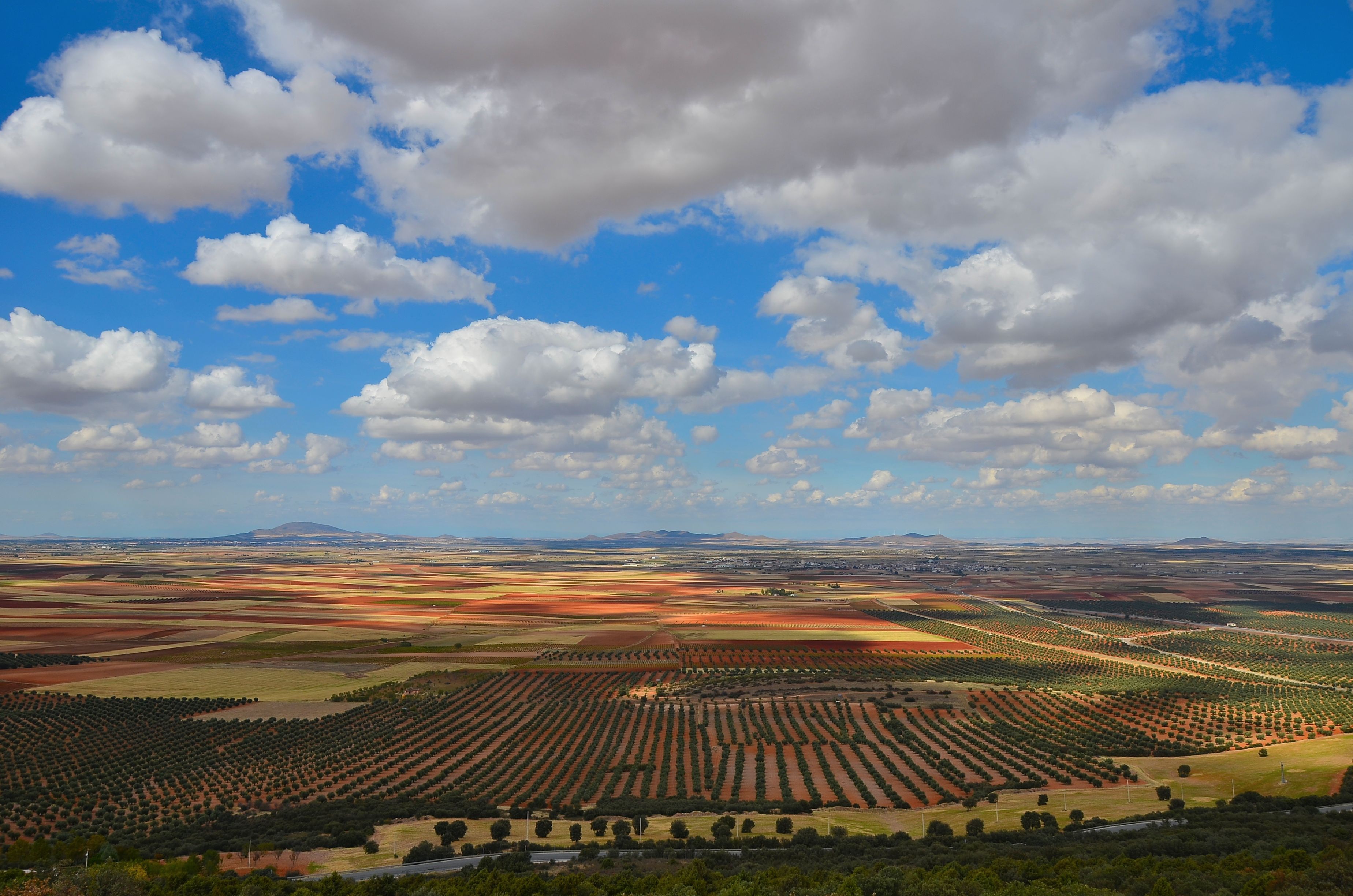Central de Compras - Proveedores